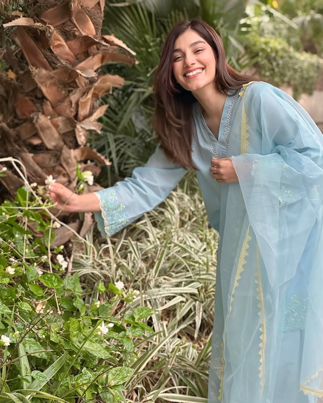 Falak